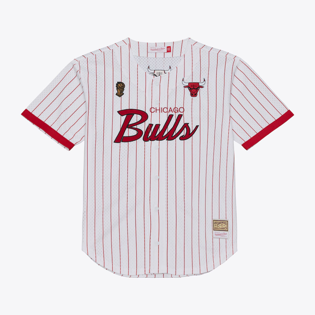Jamed C.Bulls Mitchell & Ness White Head Coach Pinstripe Mesh Full-Button Baseball Jerseys