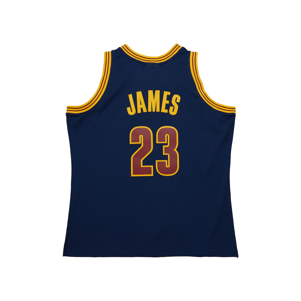 Jamed C.Cavaliers #23 LeBron James Mitchell & Ness Navy Big & Tall Hardwood Classics 2008-09 Swingman Jerseys