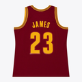 Jamed C.Cavaliers #23 LeBron James Mitchell & Ness Wine 2015-16 Swingman Jerseys
