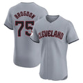 Jamed C.Guardians #75 Connor Brogdon Player Gray Road Limited Elite Home Stitched Jerseys