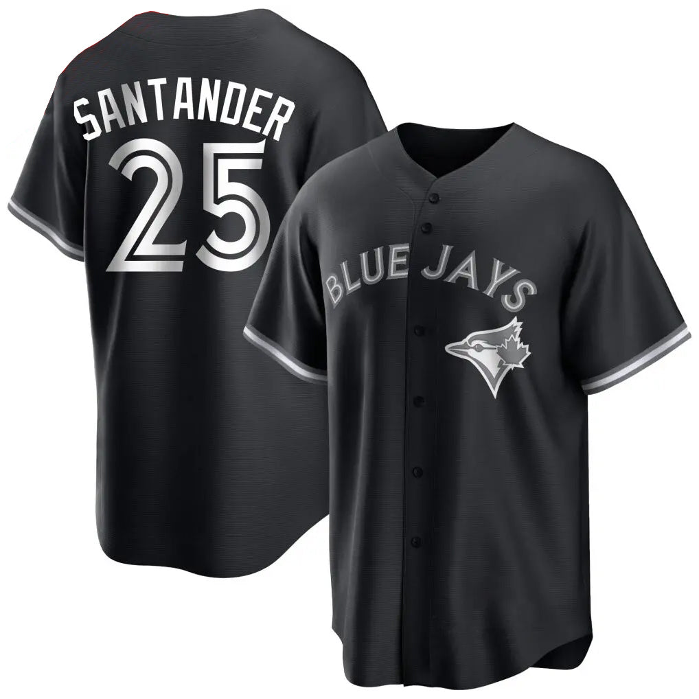 Jamed T.Blue Jays #25 Anthony Santander Player Black City Connect Limited Stitched Jerseys