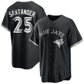 Jamed T.Blue Jays #25 Anthony Santander Player Black City Connect Limited Stitched Jerseys