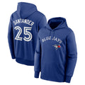 Jamed T.Blue Jays #25 Anthony Santander Player Royal Performance Pullover Hoodie